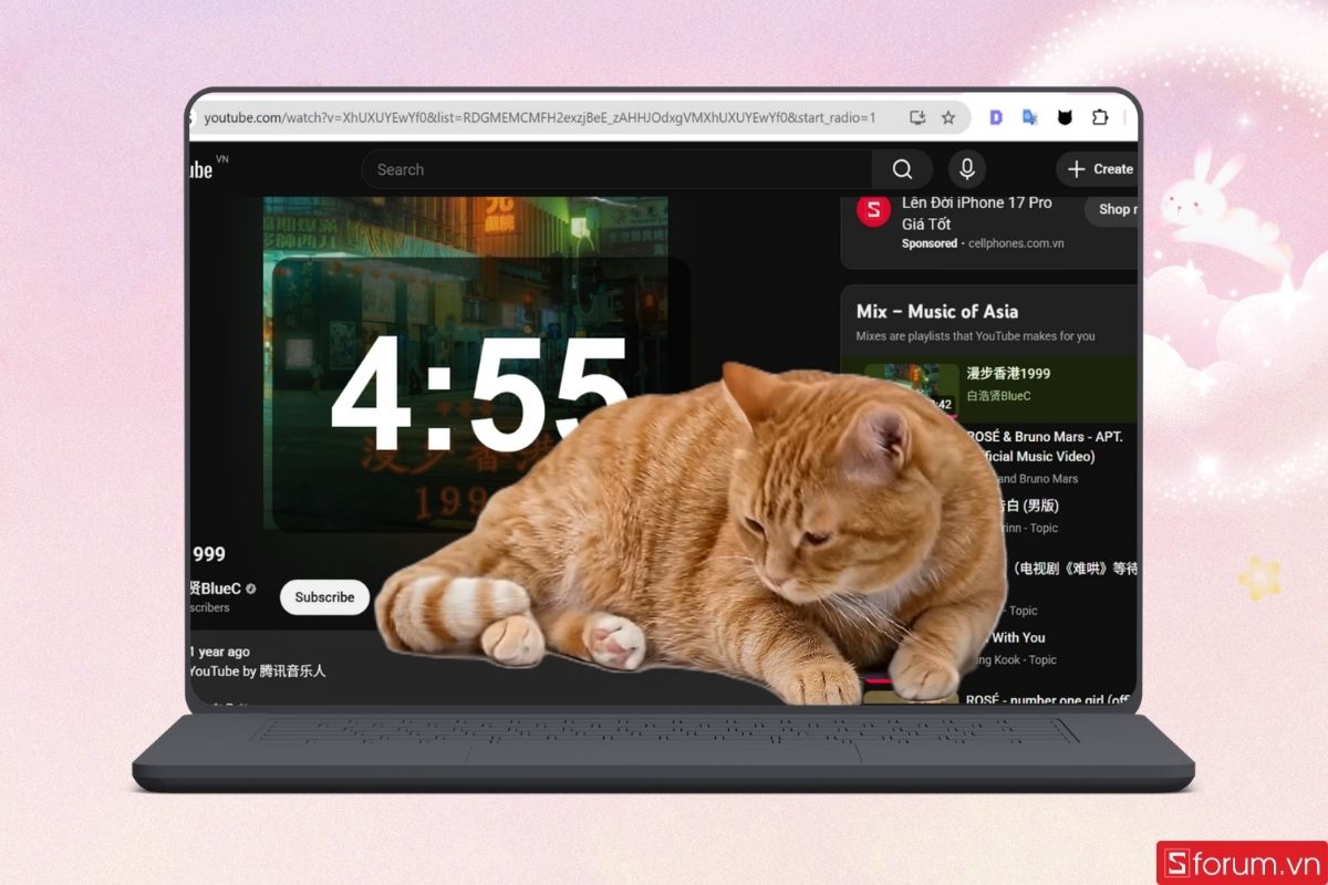 Hướng dẫn sử dụng Cat Gatekeeper