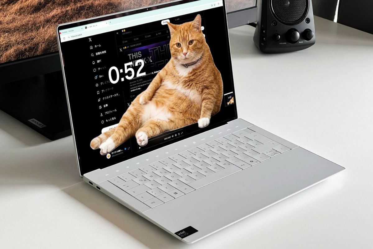 Các nền tảng mạng xã hội được hỗ trợ