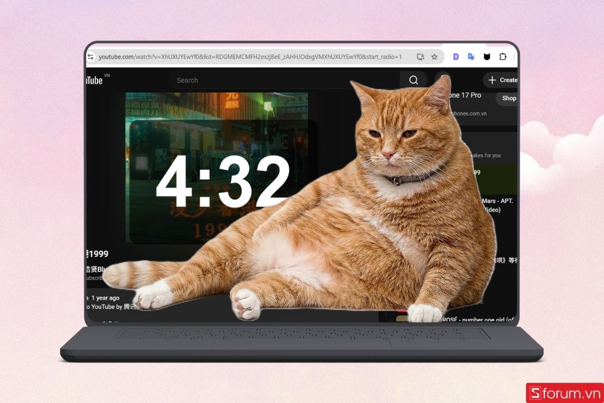 Cat Gatekeeper là gì