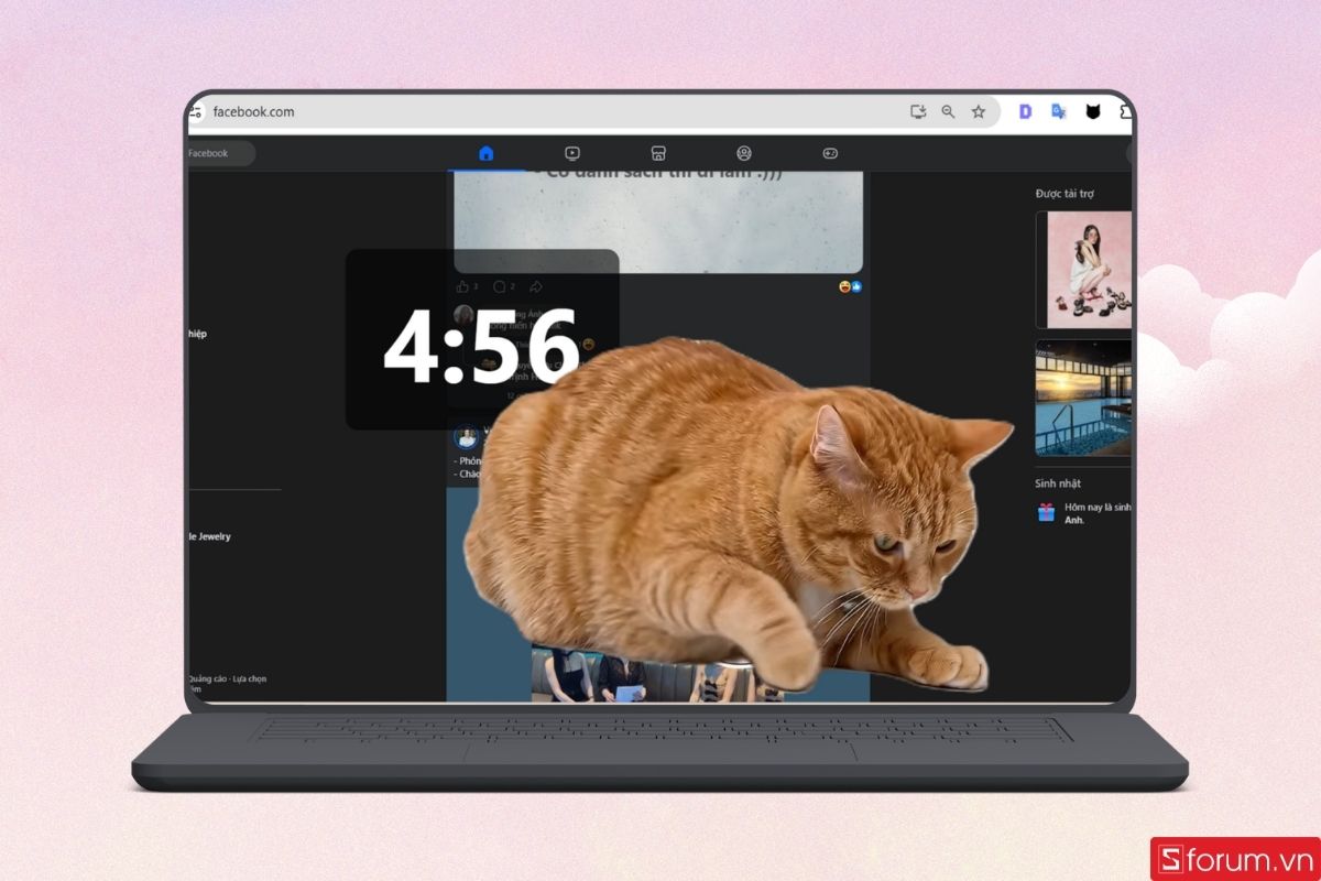 Cơ chế hoạt động của Cat Gatekeeper 