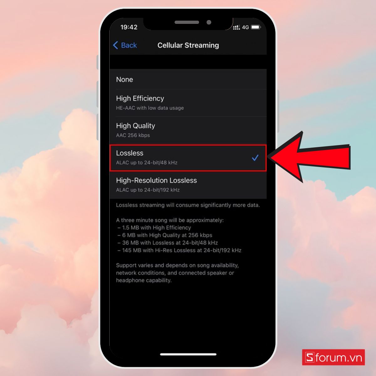 Cách tiết kiệm dung lượng 4G trên iPhone tắt phát nhạc chất lượng cao bước 2
