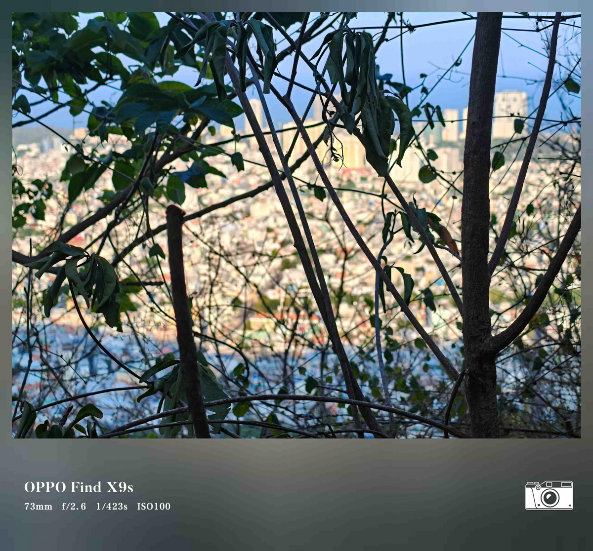 Ảnh chụp từ camera OPPO Find X9s