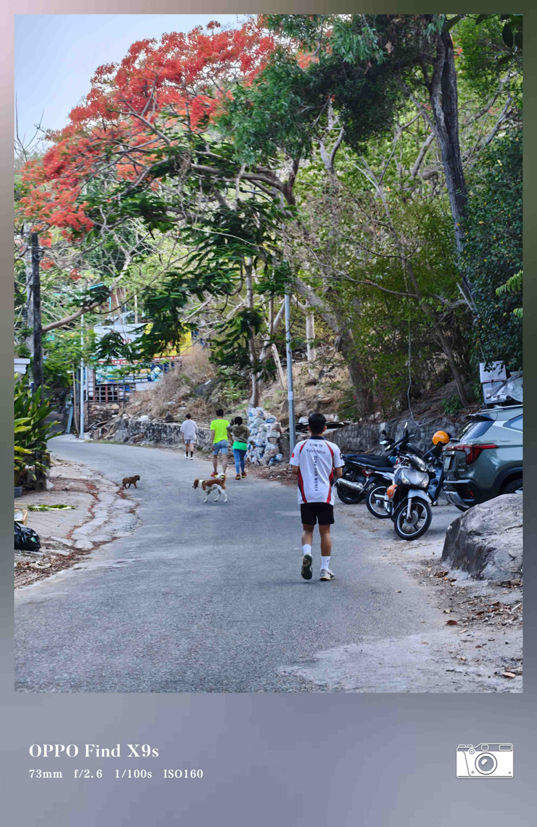 Ảnh chụp từ camera OPPO Find X9s