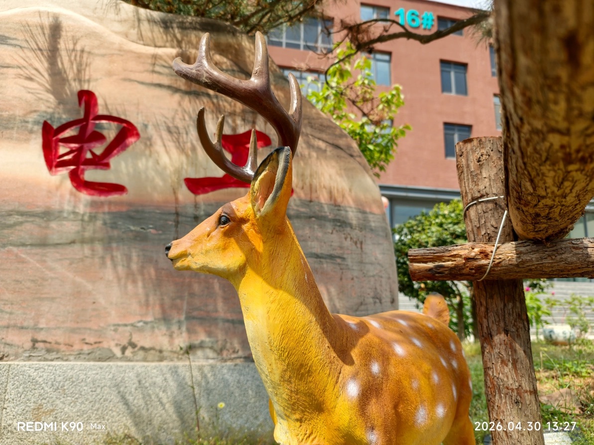 Ảnh chụp ban ngày từ camera Redmi K90 Max