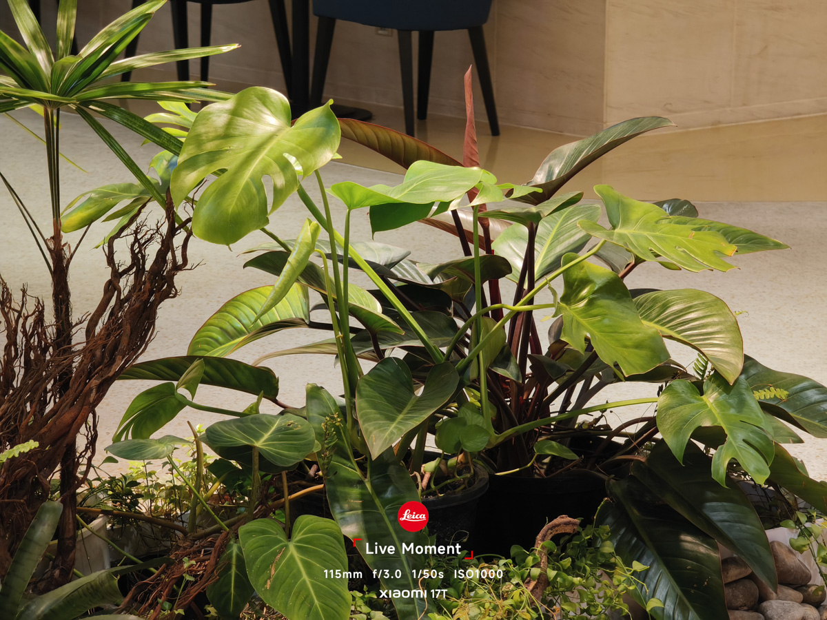 Đánh giá camera Xiaomi 17T trong điều kiện đủ sáng