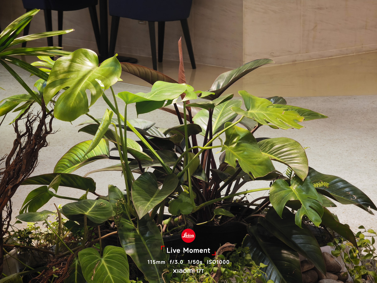 Đánh giá camera Xiaomi 17T trong điều kiện đủ sáng