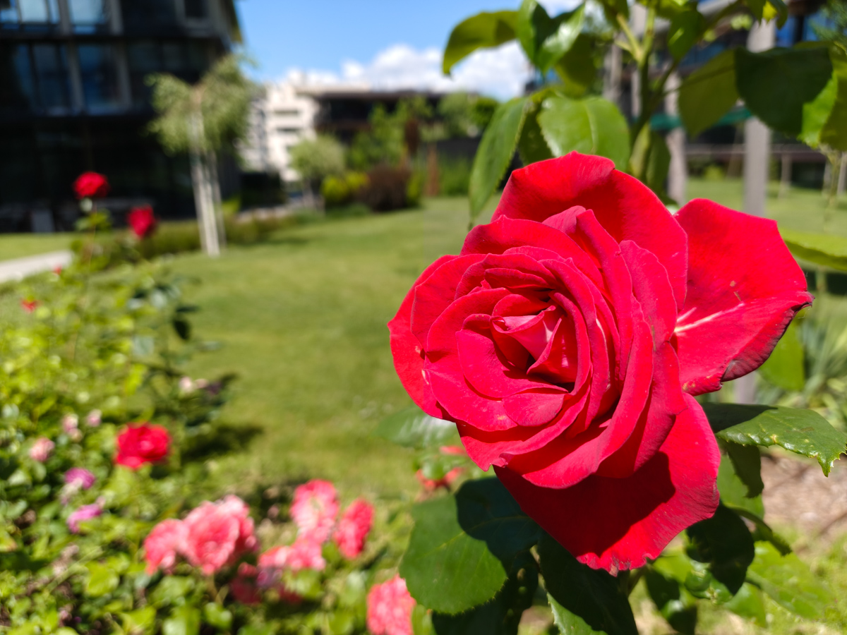 Đánh giá camera Oppo Reno16 Pro