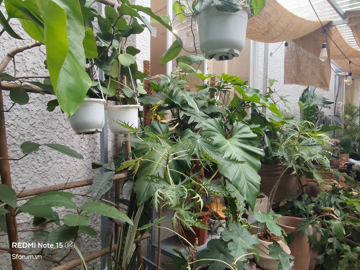 Đánh giá camera của Xiaomi Redmi Note 15 5G