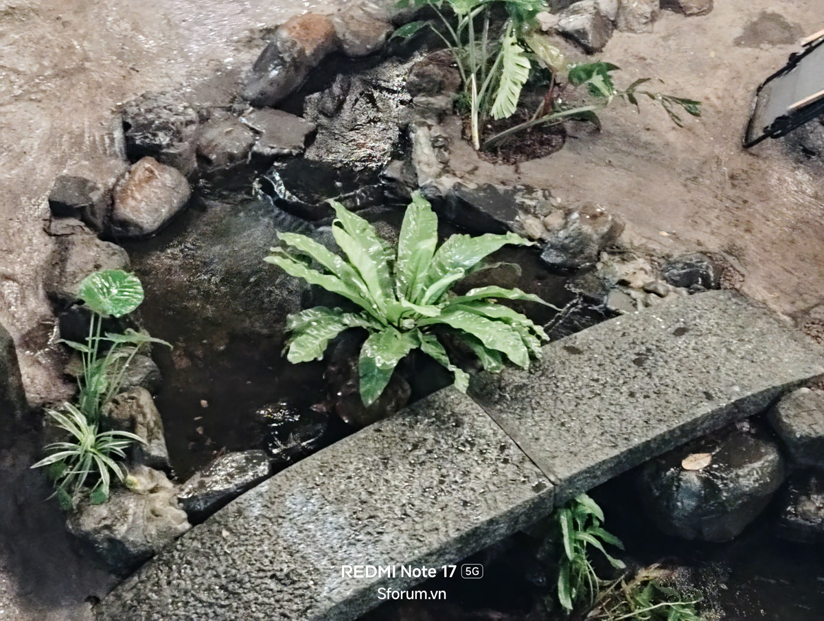 Đánh giá camera Xiaomi Redmi Note 17 5G