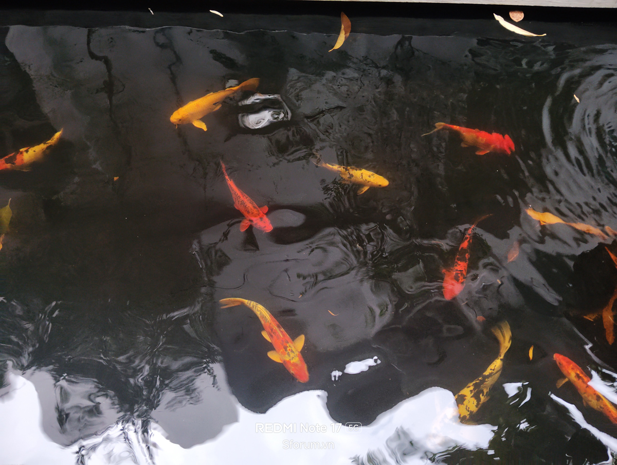 Đánh giá camera Xiaomi Redmi Note 17 5G