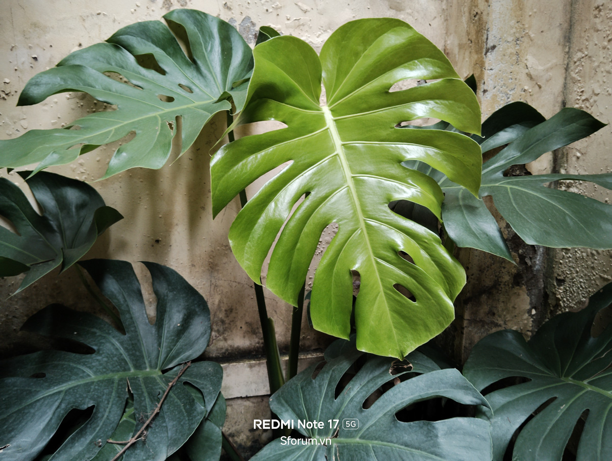Đánh giá camera Xiaomi Redmi Note 17 5G