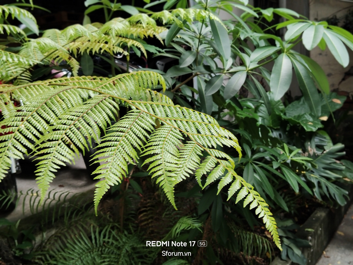 Đánh giá camera Xiaomi Redmi Note 17 5G