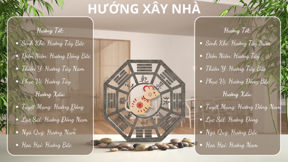 1984 hợp hướng xây nhà nào