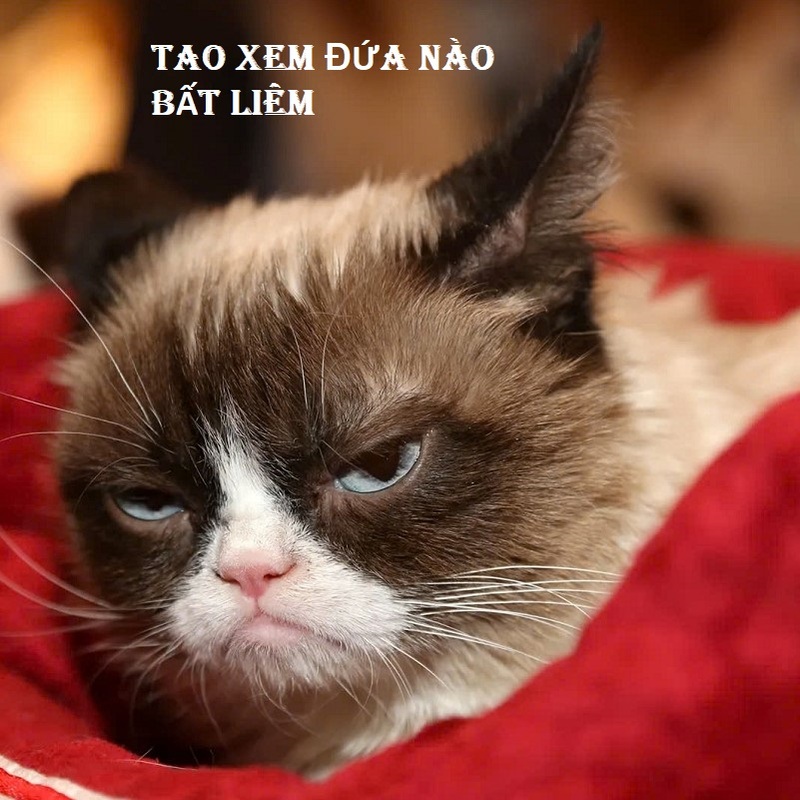 ảnh meme Liêm Gen Z