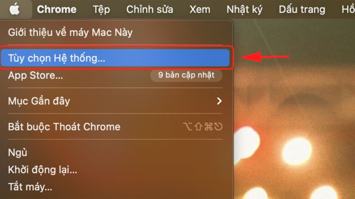 cách đổi mật khẩu macbook khi quên nhanh chóng