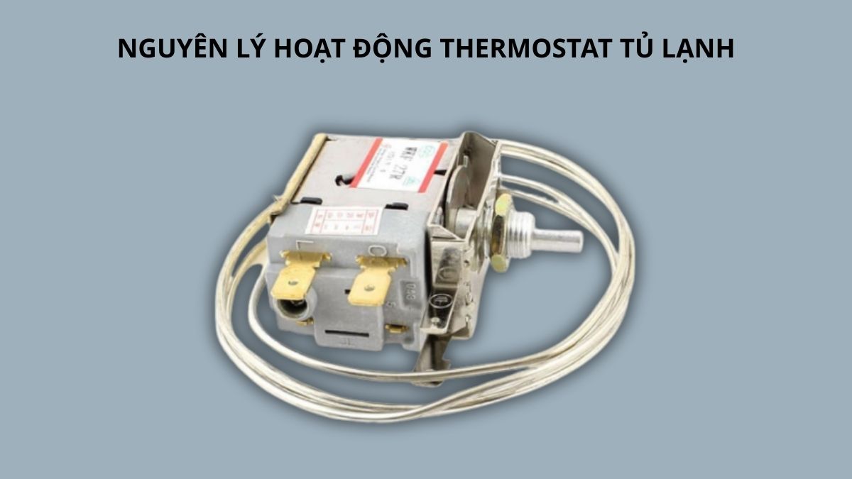 Nguyên lý hoạt động Thermostat tủ lạnh