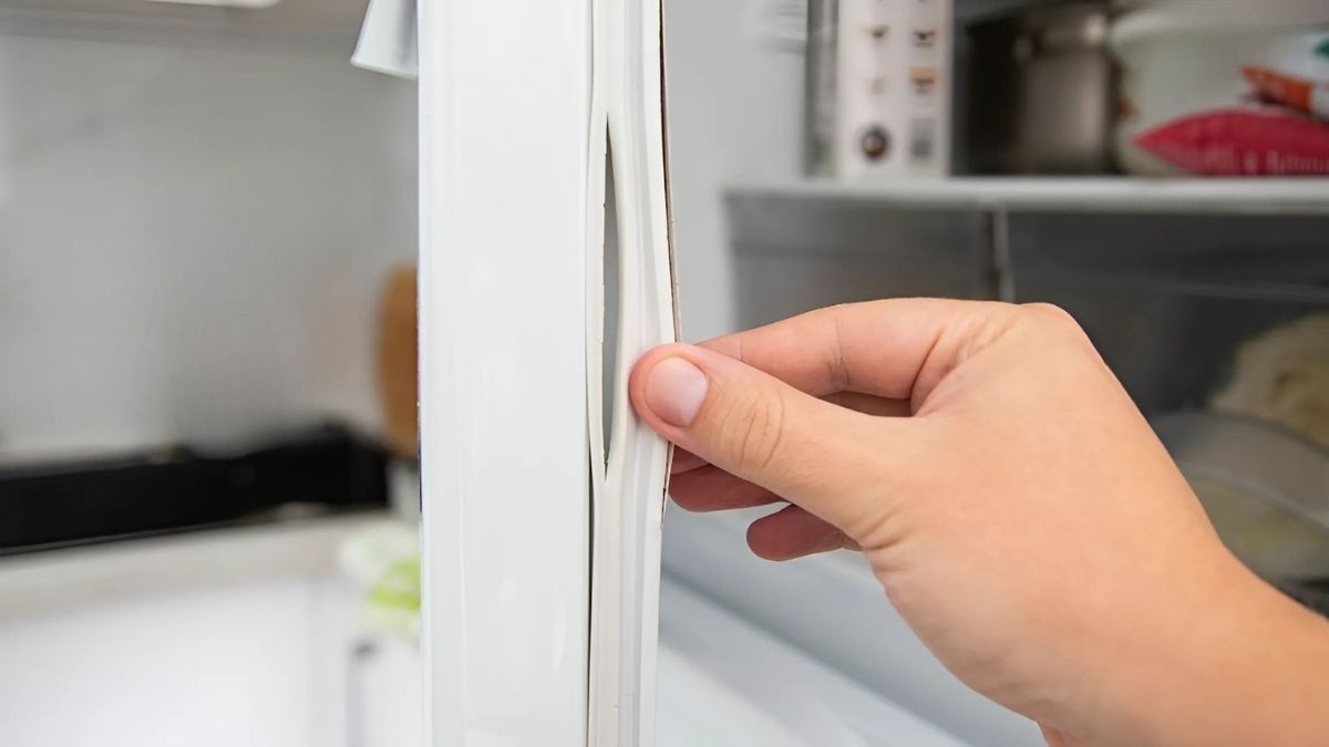 tủ lạnh toshiba bị chảy nước ngăn mát do đóng không kín cửa