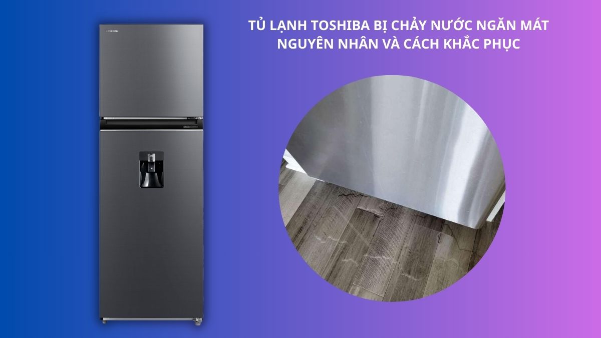 Tủ lạnh Toshiba bị chảy nước ngăn mát: Nguyên nhân và cách khắc phục