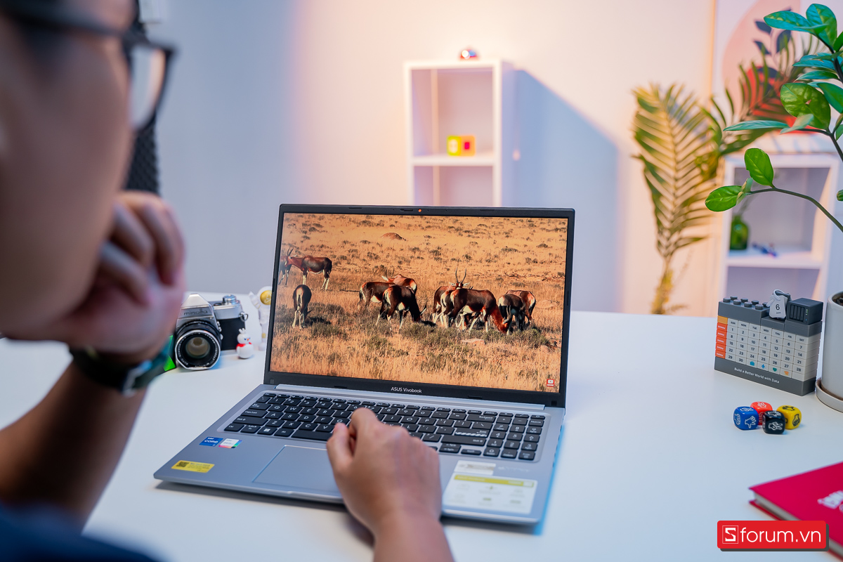 Màn hình ASUS Vivobook 15
