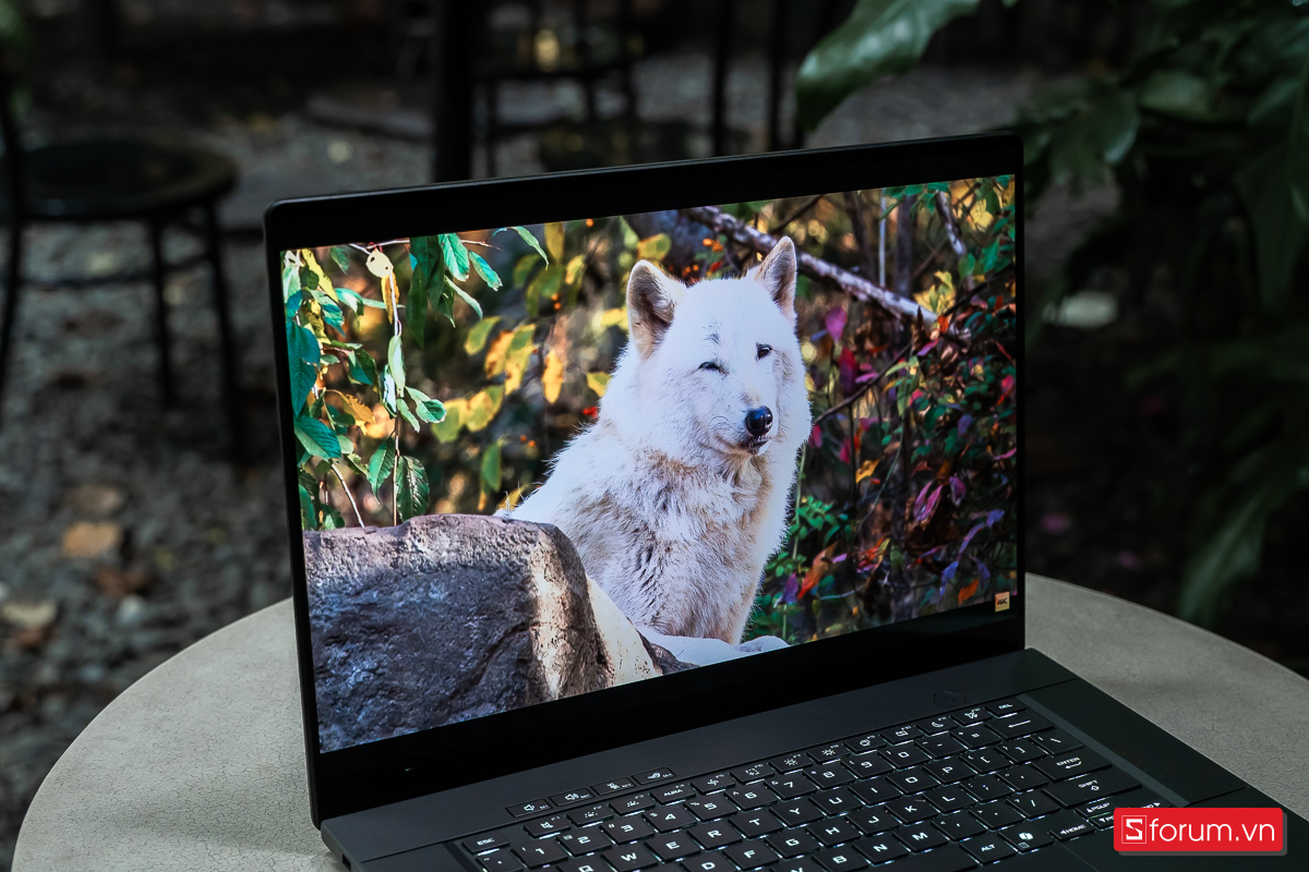 Xem phim trên ROG Zephyrus G16
