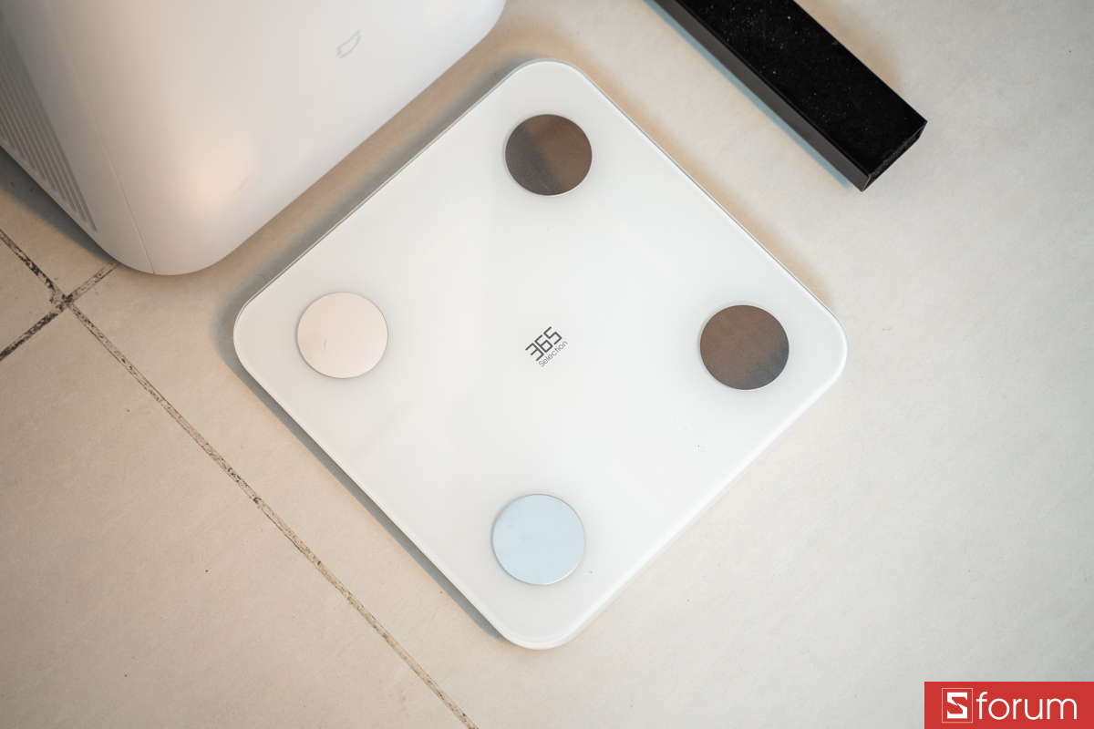 Ngoại hình 365 Selection WS2