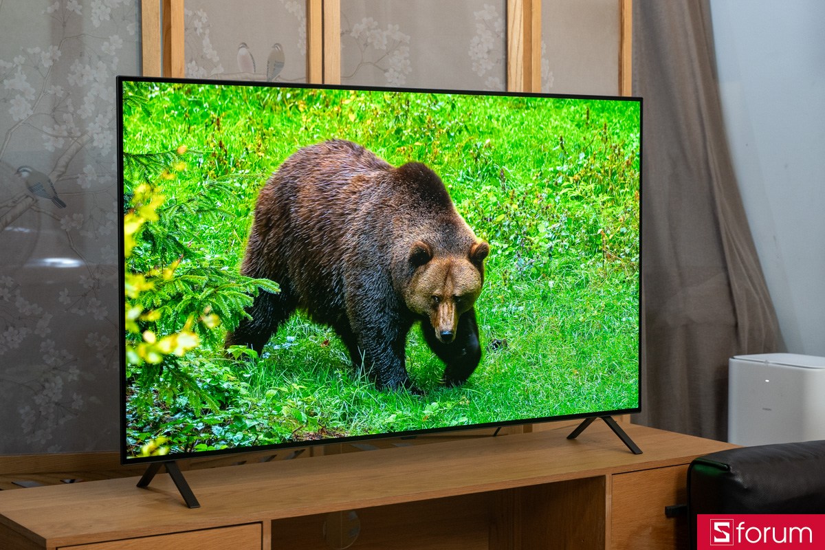 Khả năng tái tạo màu sắc trên LG OLED 4K 55 inch B5