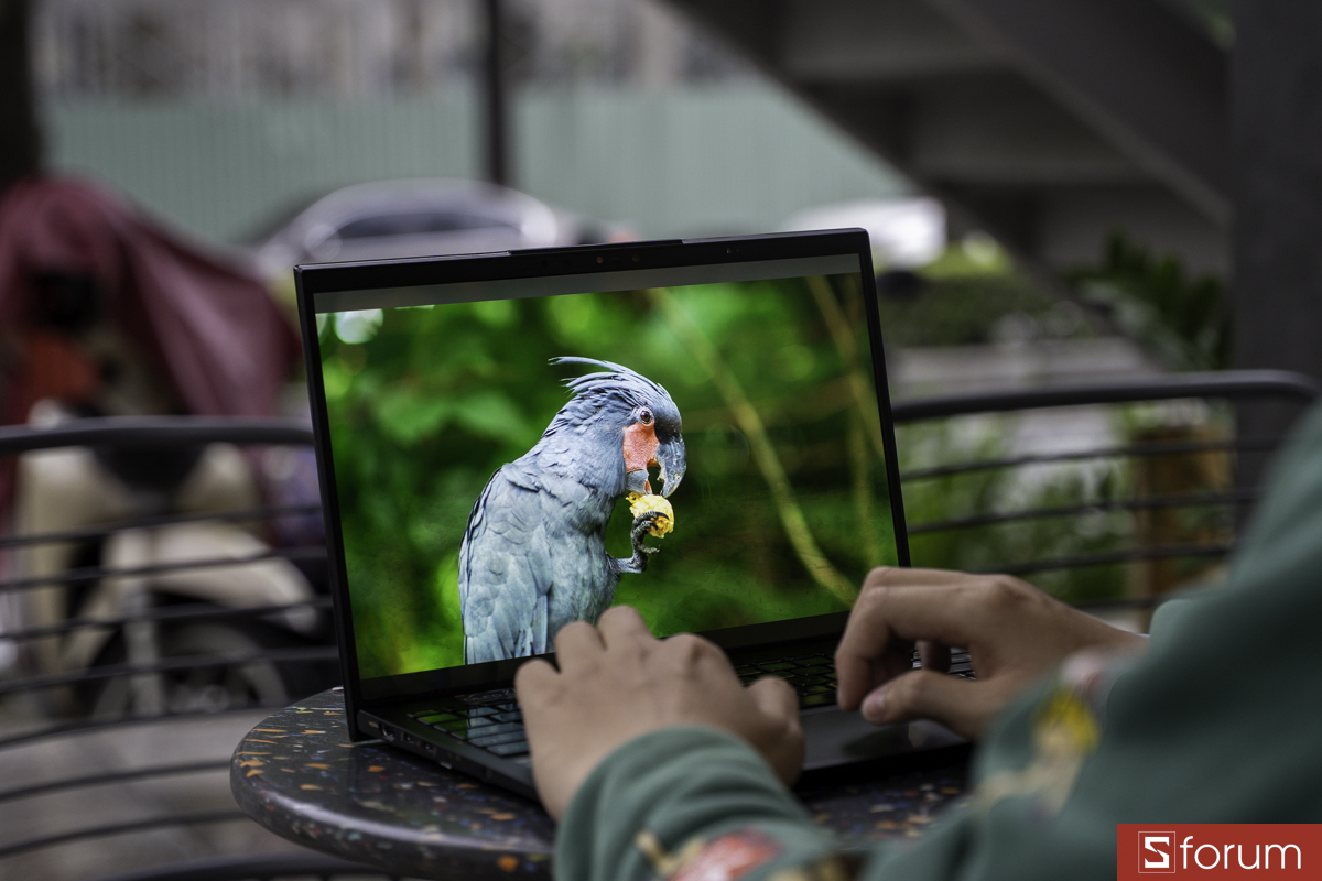 Khả năng tái tạo gam màu lạnh