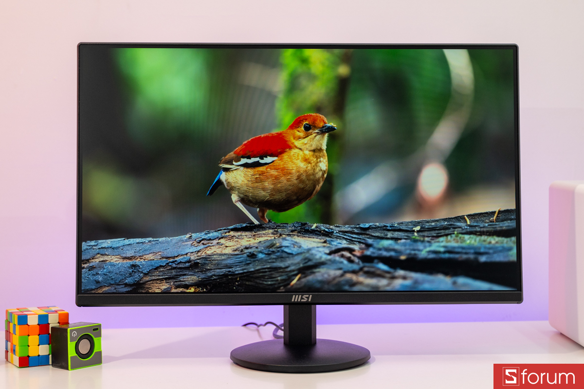 Khả năng hiển thị trên MSI MP242L