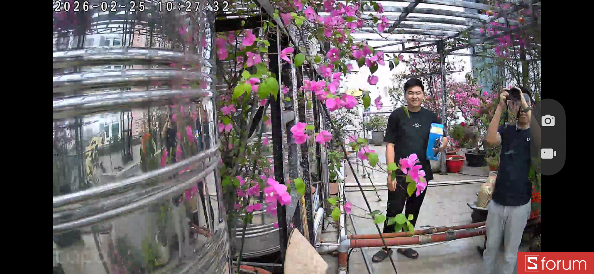 Không nên thiết lập quá gần cành cây nếu để chế độ theo dõi