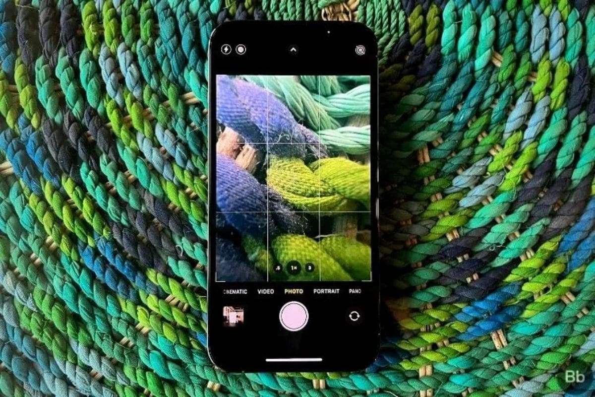 Chế độ Macro thích hợp cho những bức hình cận cảnh