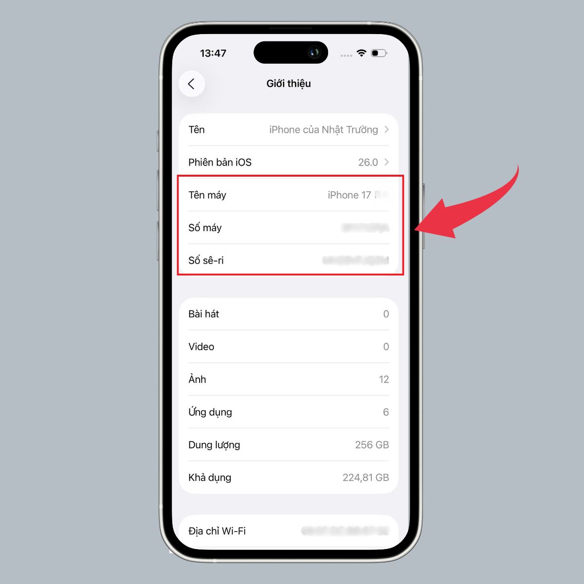 Cách kiểm tra iPhone 17 Pro Max chính hãng bằng số Seri - bước 3