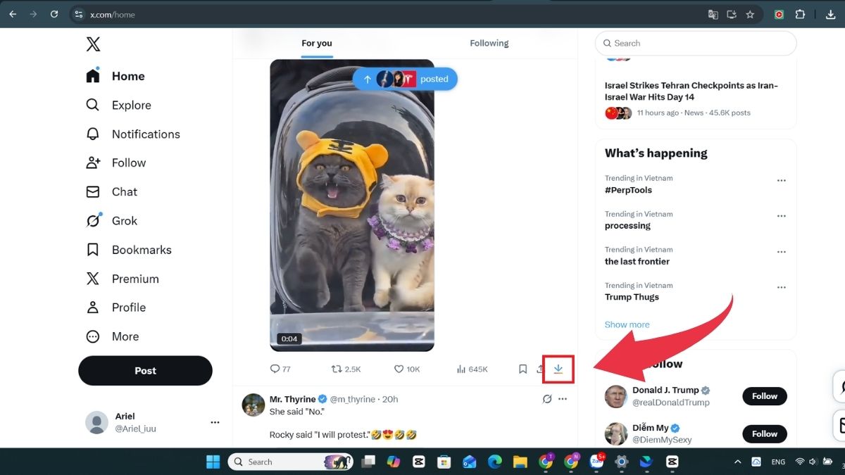 Hướng dẫn tải video X trên PC bằng tiện ích - Bước 2