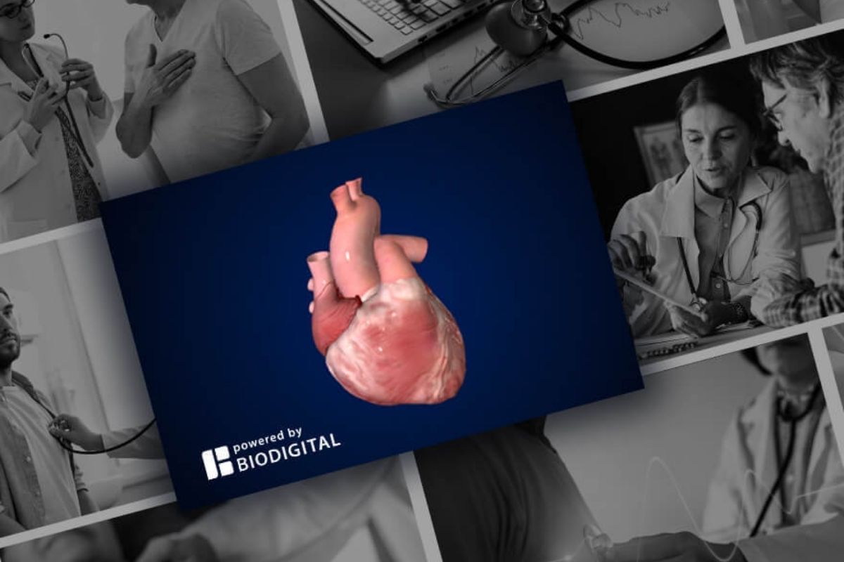 Hướng dẫn tạo mô hình 3D cho môn khoa học tự nhiên - Mẹo sử dụng