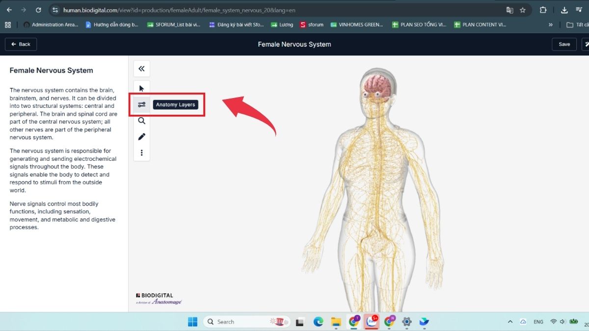 Hướng dẫn tạo mô hình 3D cho môn khoa học tự nhiên - Bước 4
