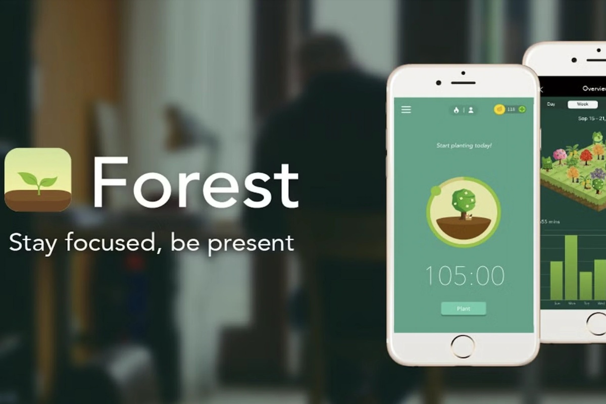 Forest là gì?