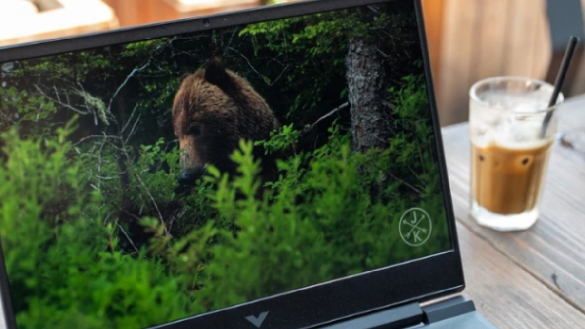 Laptop HP Gaming Victus 15-FA1139TX 8Y6W3PA là mẫu laptop vẽ SketchUp hợp lý
