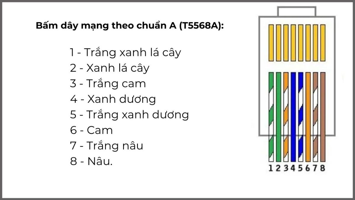 Bấm dây mạng theo chuẩn A (T5568A)