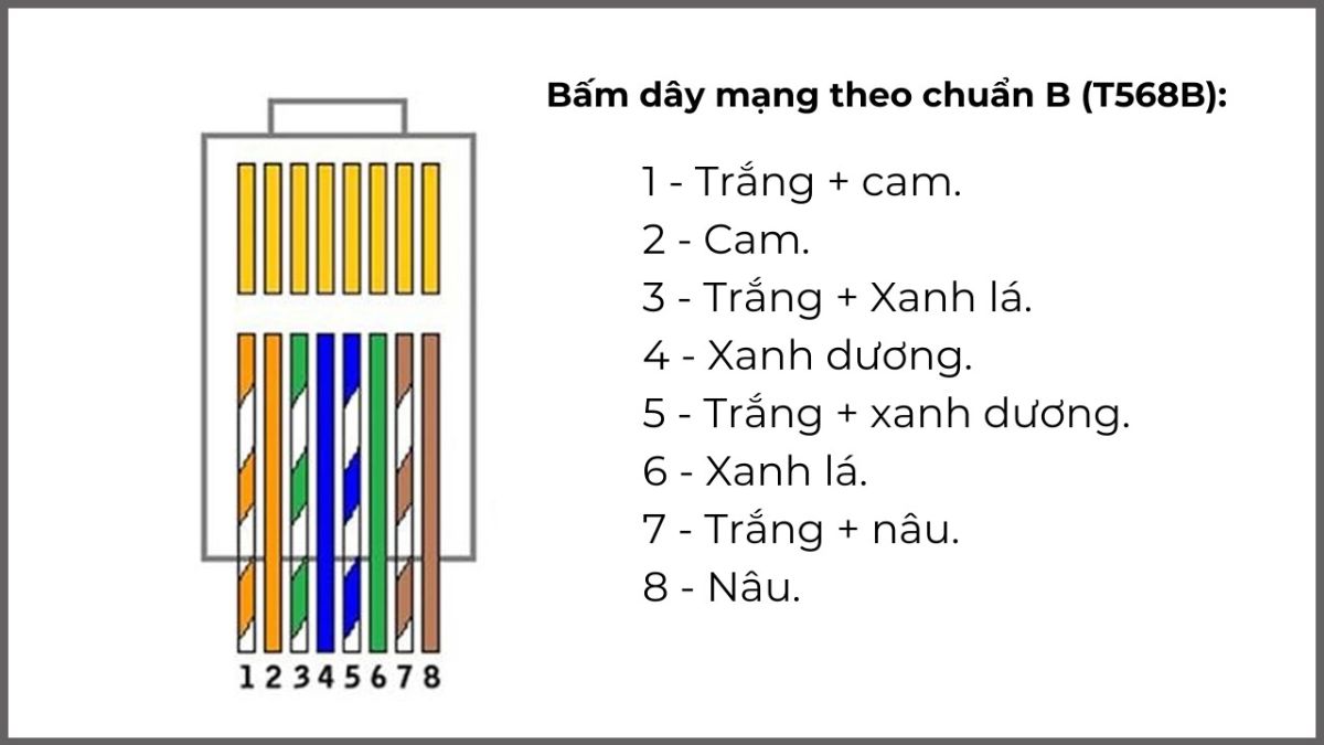 Bấm dây mạng theo chuẩn B (T568B) - Bước 2