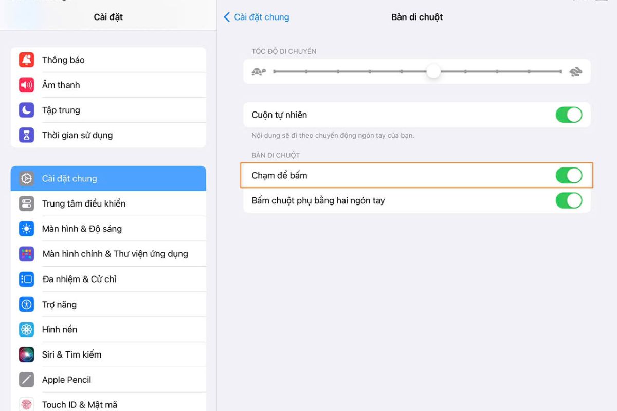 Cài đặt bàn di chuột sau khi kết nối Magic Keyboard trên iPad