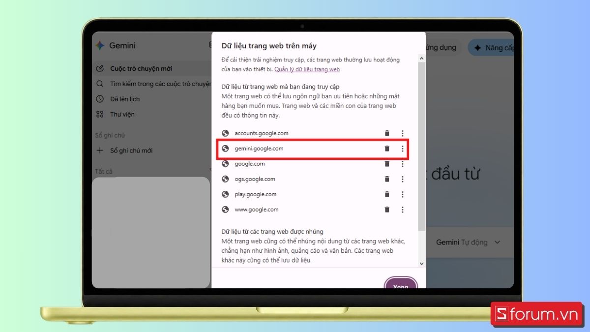 Bước 3: Xóa trình duyệt gemini.google.com.