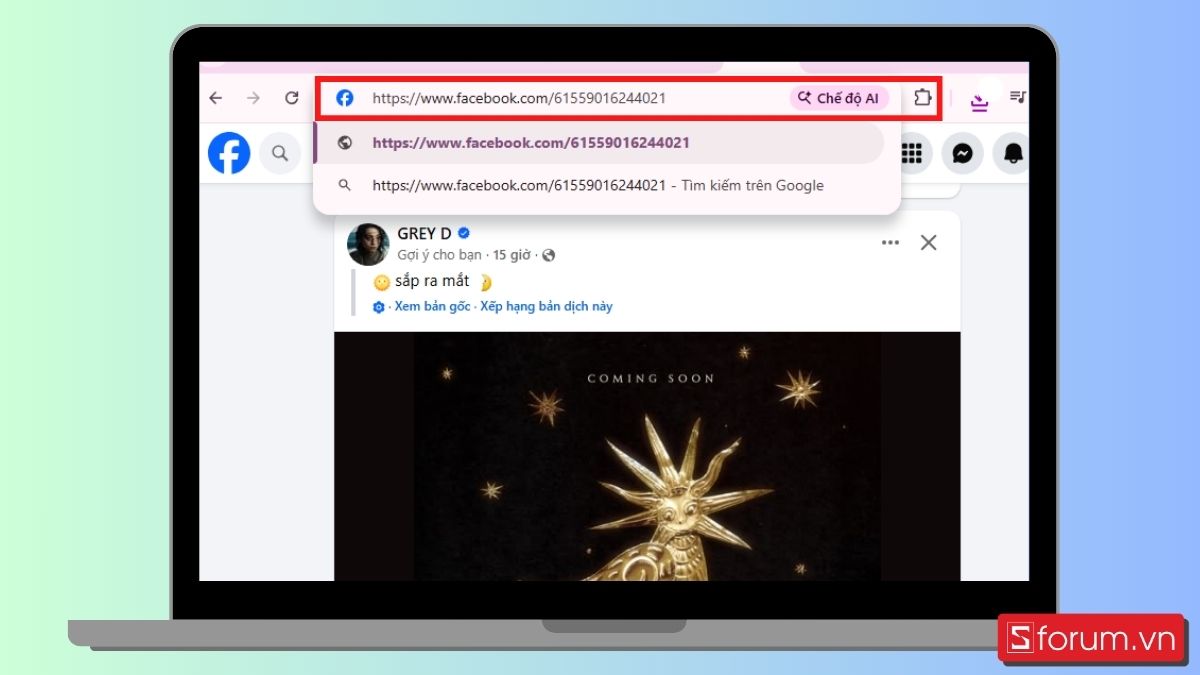 Bước 4: Dùng ID Facebook để kiểm tra tài khoản.
