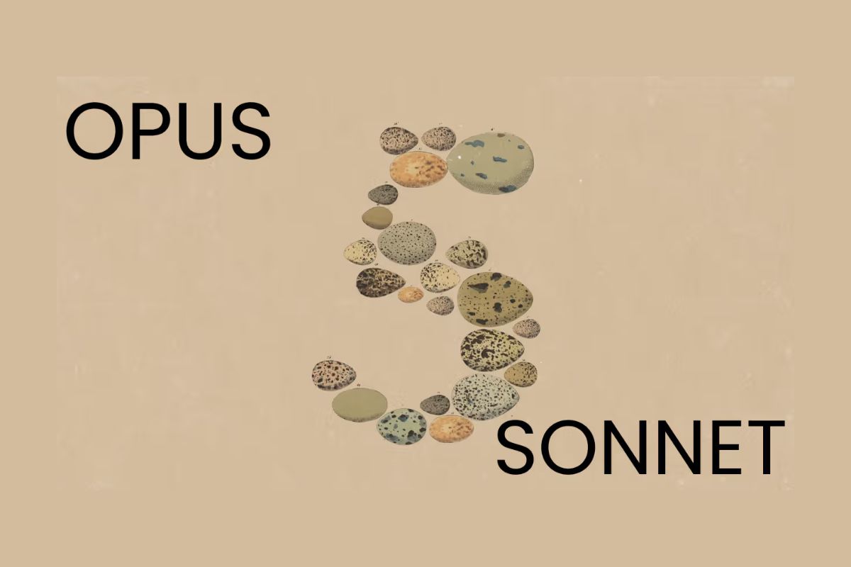 Tổng quan về Claude Opus 5 vs Claude Sonnet 5