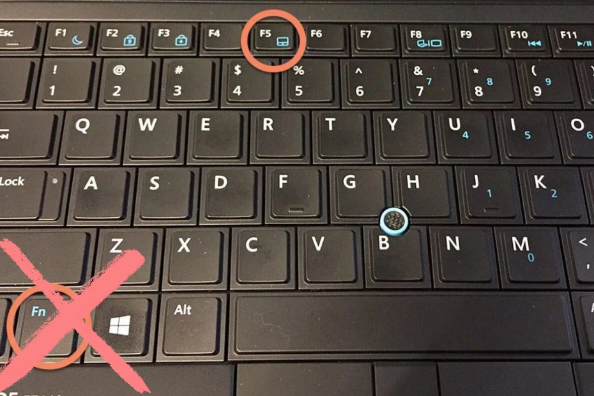 Phím Fn không hoạt động