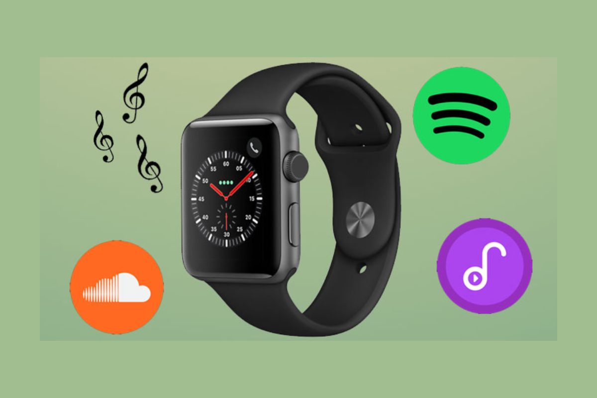 Hỗ trợ đa dạng nội dung phong phú từ Apple Music và nhiều nền tảng khác