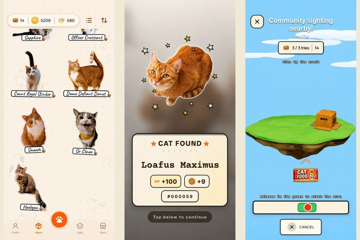 Điều gì khiến CatchCat trở nên hấp dẫn?