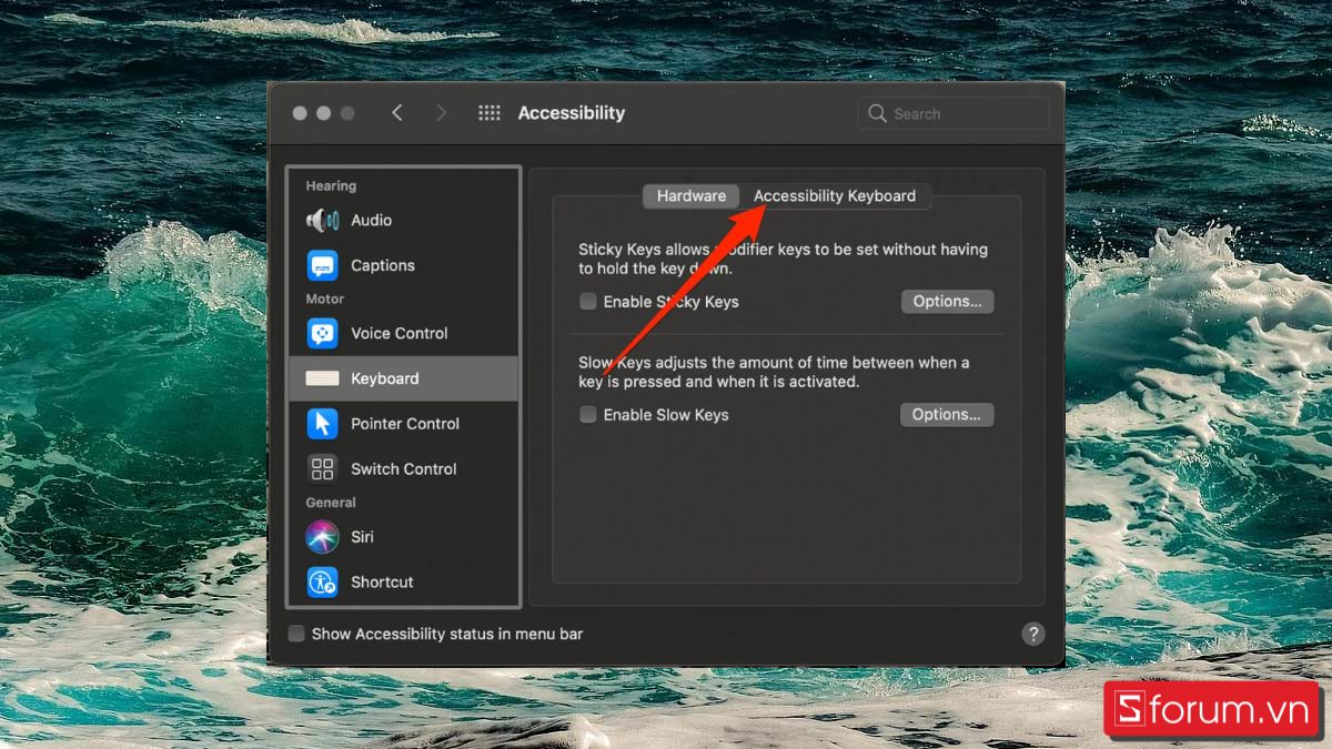 bật bàn phím ảo Macbook bằng accessibility bước 3