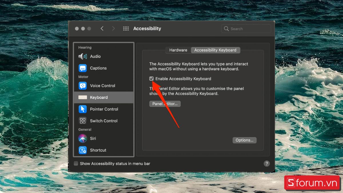 bật bàn phím ảo Macbook bằng accessibility bước 3 còn lại