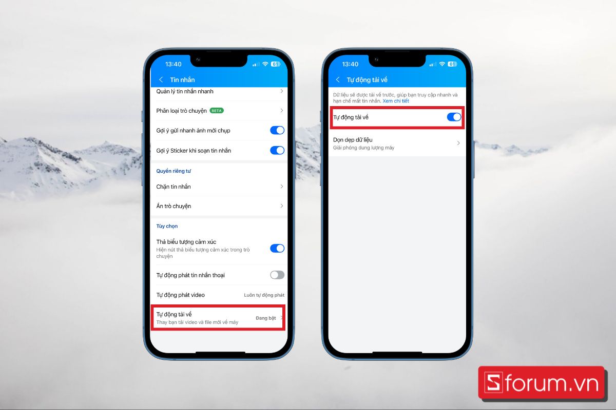 Bật tính năng Tự động tải về