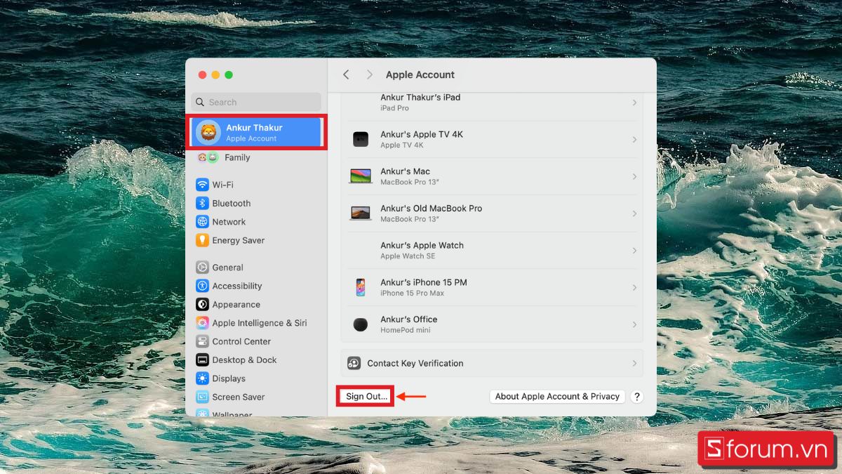 Chuẩn bị trước khi cài lại Mac - đăng xuất khỏi icloud bước 2