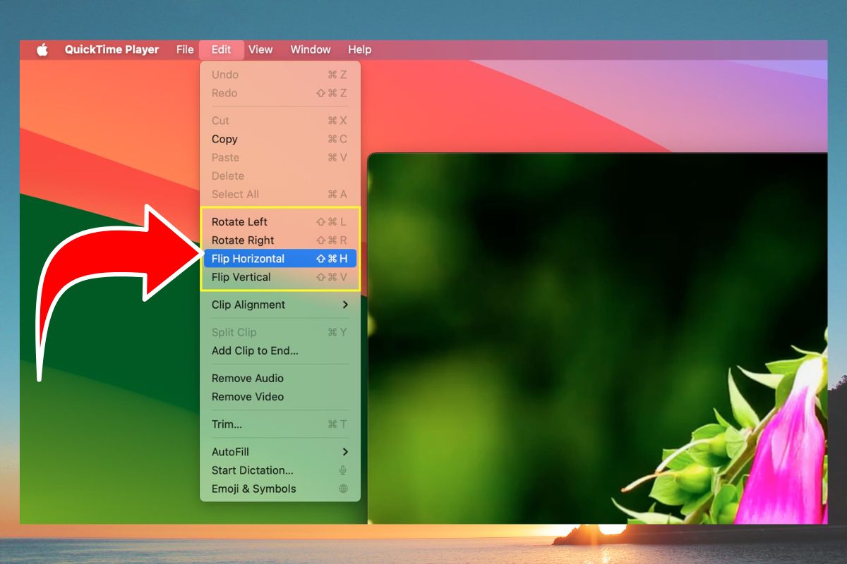 Sử dụng QuickTime Player
